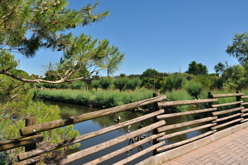 Fototapeta na wymiar Old wooden bridge in beautiful landscape