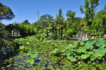 Fototapeta na wymiar Green oasis in the zoo in italy