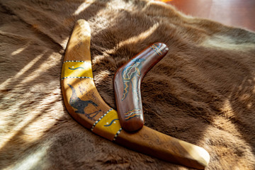 Two old boomerangs laying on the kangaroo skin, fur with wooden glossy table in the background. Souvenirs from Australia on display, shallow depth of field, warm colors - obrazy, fototapety, plakaty