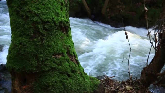 The Hermon River in the Israeli Golan