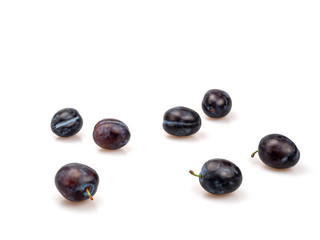 Organic purple plums on a white background.