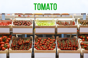 A huge variety of tomatoes of different varieties