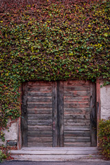 Fototapeta na wymiar Old wooden doors of an old house in South Tyrol