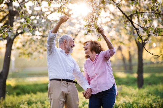 Beautiful Senior Couple In Love Outside In Spring Nature, Laughing.