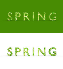Stylized word text Spring, abstract good texture, there is a shadow. Two words, one on a colored background, the other on a white isolate. Photorealistic 3D render.