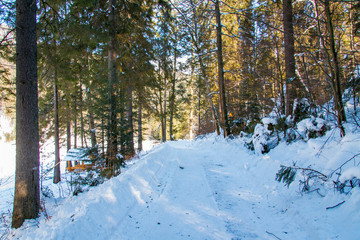 Snowy road in the Carpathian mountains. Carpathians, Ukraine. February 2013