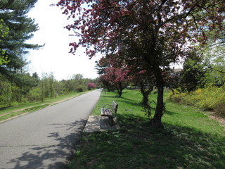 path in the park