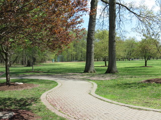 path in park