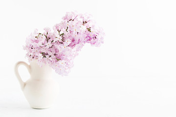 Beautiful purple fresh lilac flowers in white ceramic vase on white background