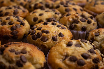 Chocolate chip vanilla muffins. Selective focus. Sweet unhealthy food