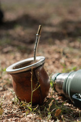Mate