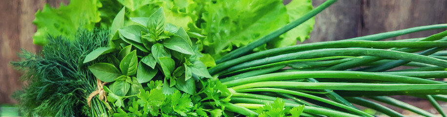 Fresh homemade greens from the garden. Selective focus. © yanadjan