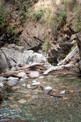 Arroyo