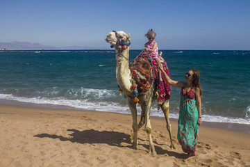 Mother a little girl and a camel, a Caucasian girl sits on a camel next to which her mother stands ozle the sea and the summer beach, a child with her mother on a camel in the desert by the sea