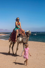 Mother and little daughter a camel, a Caucasian girl leads a camel on which her mother sits on the background of the sea and a summer beach, a child with her mother on a camel in the desert by the sea