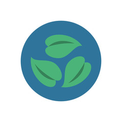 leafs plant ecology isolated icon