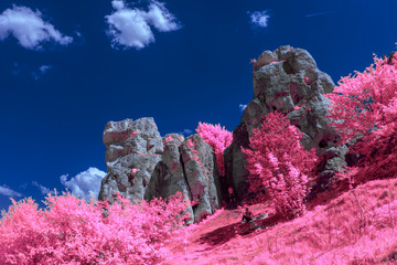 Infrared Photography in winter