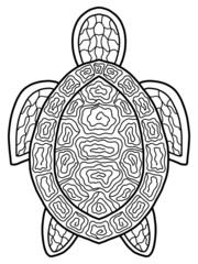 Stylized turtle coloring page for kids and adults. Simple black and white ornamental cartoon reptile turtle stock vector illustration. Decorative black isolated contour animal  simple ethic fauna.