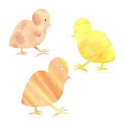 Cute, fluffy, yellow and orange easter chickens in picturesque stains. Watercolor hand drawn illustration