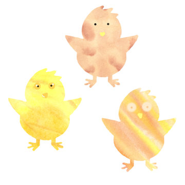 Cute, fluffy, yellow and orange easter chickens in picturesque stains. Watercolor hand drawn illustration
