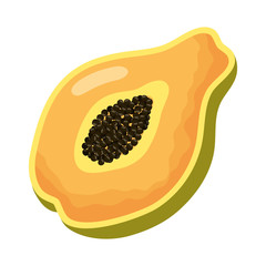 tropical papaya fruit isolated icon