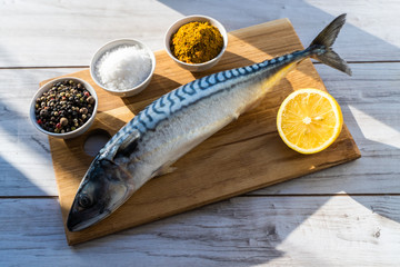 Fresh raw mackerel fish with cooking ingridients