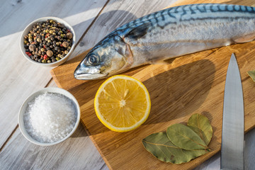 Fresh raw mackerel fish with cooking ingridients