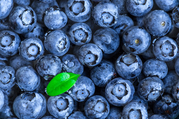 Blueberries floating in water with bubbles. Fresh blueberries background with copy space for your text. Vegan and vegetarian concept.Texture blueberry berries close up