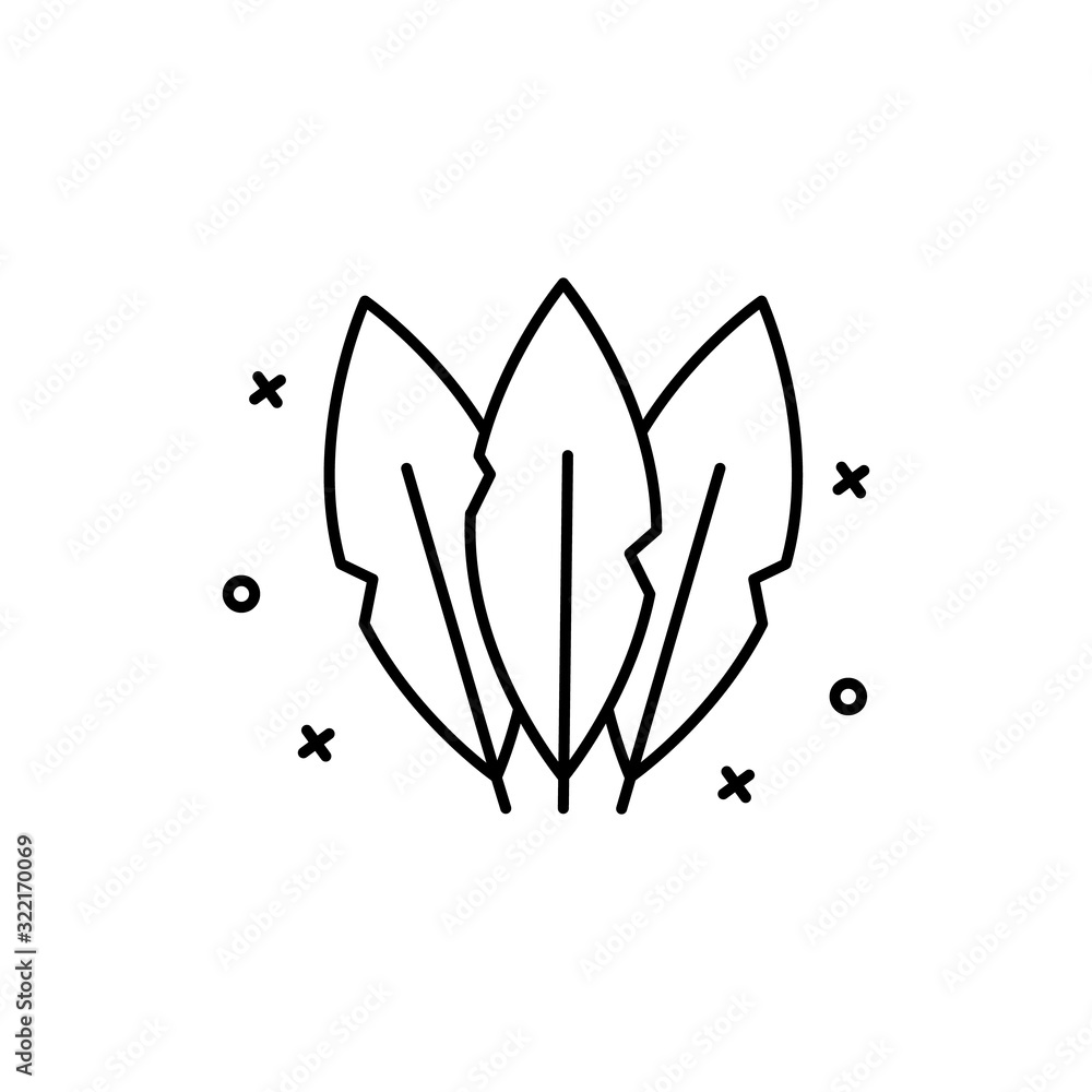 Poster feathers, carnival icon. simple line, outline vector elements of last day of carnival icons for ui a