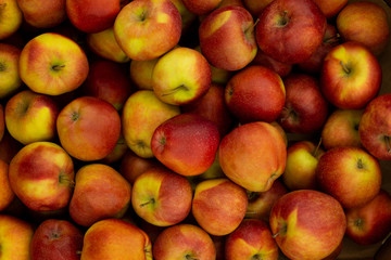 Fototapeta na wymiar Apple texture, fresh ripe red apples as background.Apple harvest.