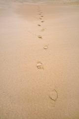 On the wet sea sand, human footprints leading into the distance