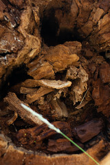 texture with obstacle