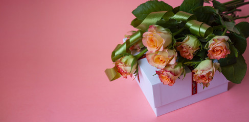 Beautiful rose flower in garden. Rose flower background. Roses flower texture. Lovely rose. Roses in tropical garden. Colorful roses flower. Roses on a pink background. Banner. Roses flower bouquet. G