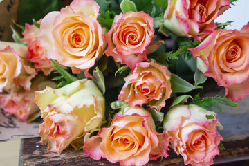 Beautiful rose flower in garden. Rose flower background. Roses flower texture. Lovely rose. Roses...