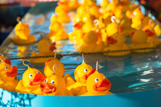 Rubber Ducks At Hook A Duck Fairground Attraction