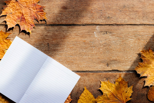 Autumn leaves with notebook on wooden background with copy space. Wallpaper for September 1.