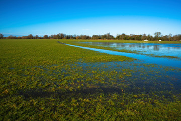 Flooded meadow linking Houghton and Hemingford Abbots villages, Cambridgeshire, England, UK.