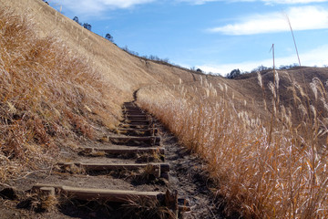 Fototapeta premium 曽爾高原 イメージ