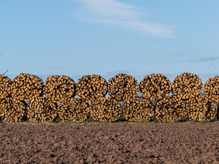 Brennholz Lager auf dem Feld im Winter