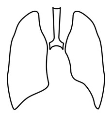  Lungs health. Human lungs icon. Internal organ. Respiratory system. Vector line art illustration.