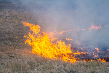 Raging forest spring fires. Burning dry grass, reed along lake. Grass is burning in meadow....