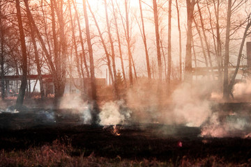 Raging forest spring fires. Burning dry grass, reed along lake. Grass is burning in meadow. Ecological catastrophy. Fire and smoke destroy all life. Firefighters extinguish Big fire. Lot of smok © Torkhov