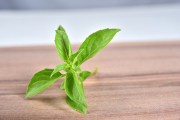 delicious and aromatic basil branch isolated on wooden table