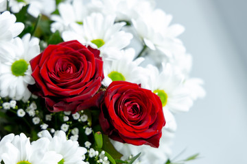 Rosen Valentinstag Liebe Blumen Valentines Day roses love