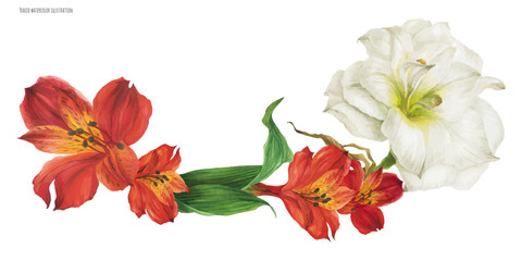 Wedding garland vignette with red alstroemeria and white hippeastrum flowers, traced watercolor illustration