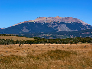 Fototapeta premium Golden