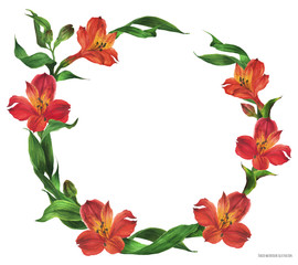 Romantic round wreath with red flowers, realistic watercolor traced illustration