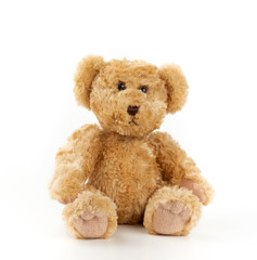 cute light brown fluffy teddy bear sitting on a white isolated background