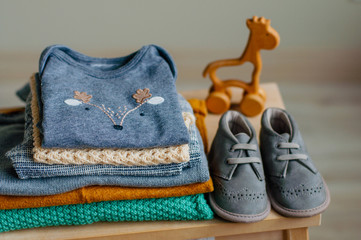 Baby clothing and shoes, wooden giraffe toy