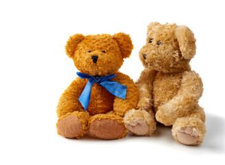 two brown curly teddy bears sit on a white background